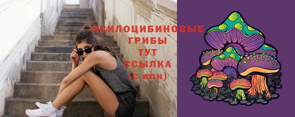 гашик Корсаков