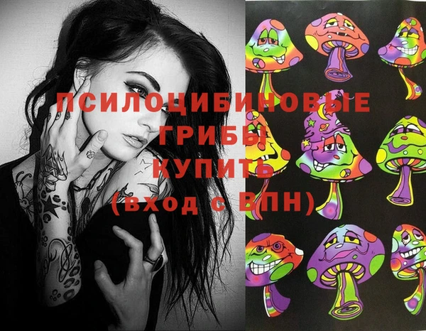 винт Костерёво
