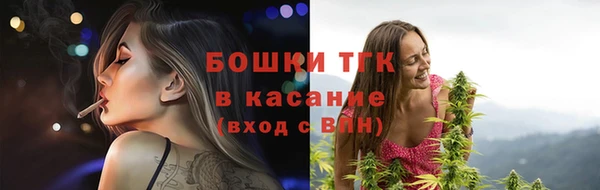 гашик Корсаков