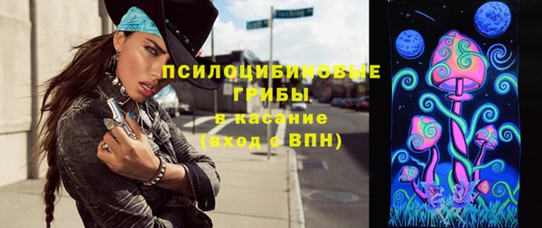 винт Костерёво