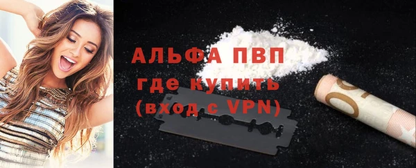 гашик Корсаков