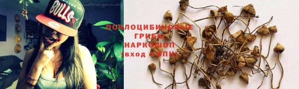 винт Костерёво